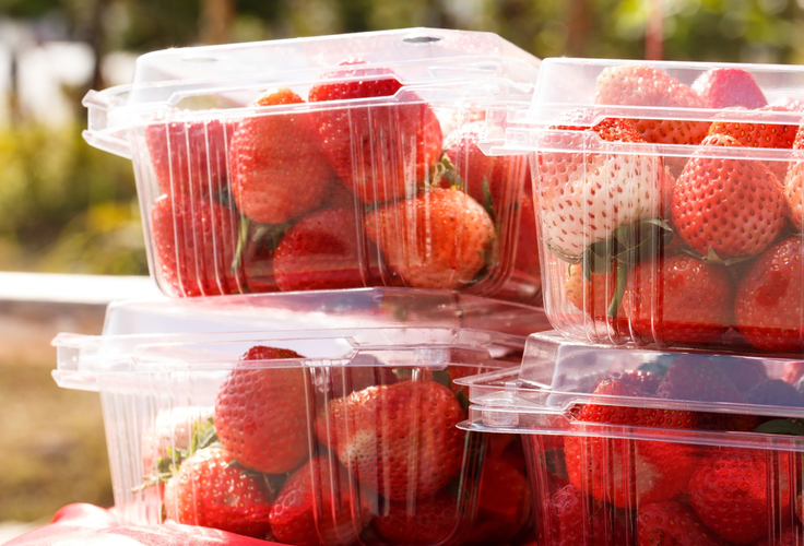 The 12 Most Common Types of Packaging for Food — and How to